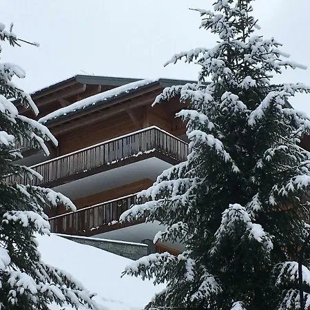 Les 4 Elements Aparthotel Chatel